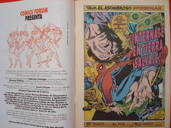 Spiderman, cómic especial invierno 1990