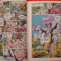 Spiderman, cómic especial invierno 1990