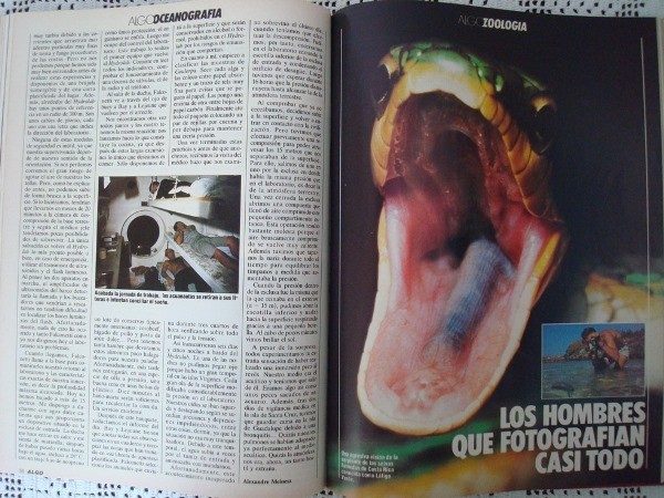 Revistas ALGO año 1984 completo, en libro