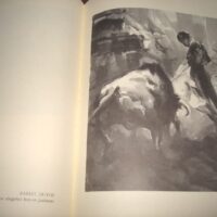 Black Bullfighting. Alfredo Sanchis Cortés. Luxury, unique - Image 6