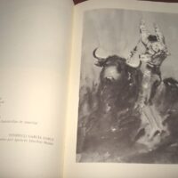 Black Bullfighting. Alfredo Sanchis Cortés. Luxury, unique - Image 7