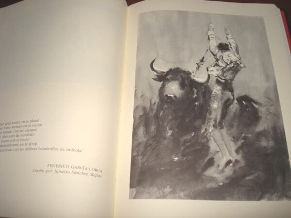 Black Bullfighting. Alfredo Sanchis Cortés. Luxury, unique - Image 7