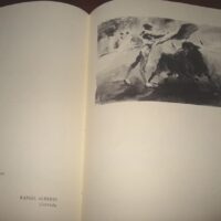 Black Bullfighting. Alfredo Sanchis Cortés. Luxury, unique - Image 8