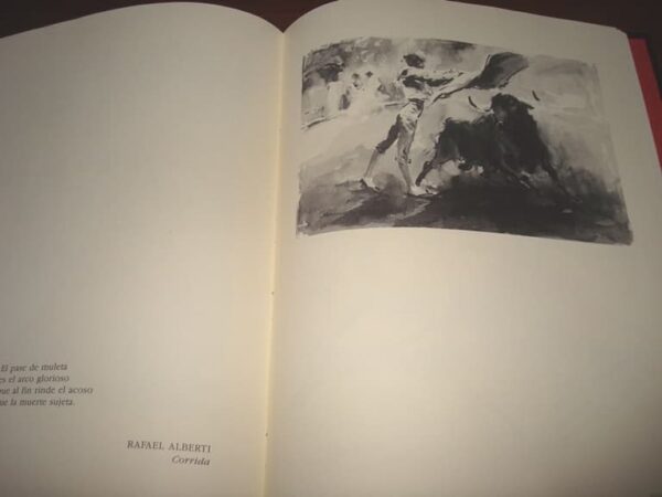 Black Bullfighting. Alfredo Sanchis Cortés. Luxury, unique - Image 8