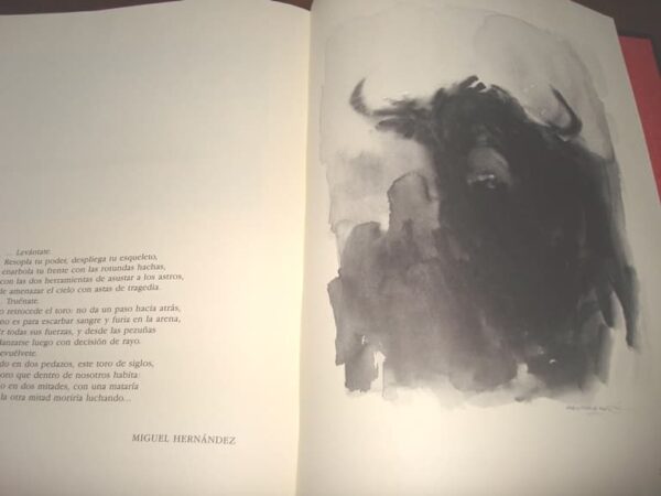 Black Bullfighting. Alfredo Sanchis Cortés. Luxury, unique - Image 9