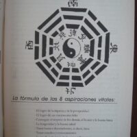 Know the future with the I-Ching. Zend Wisse, 2002 - Image 4