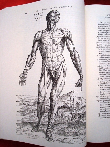 De Humani Corporis Fabrica, Andrea Vesalio, 1555