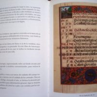 Study book of the Book of Hours of the Zuñiga - Image 4