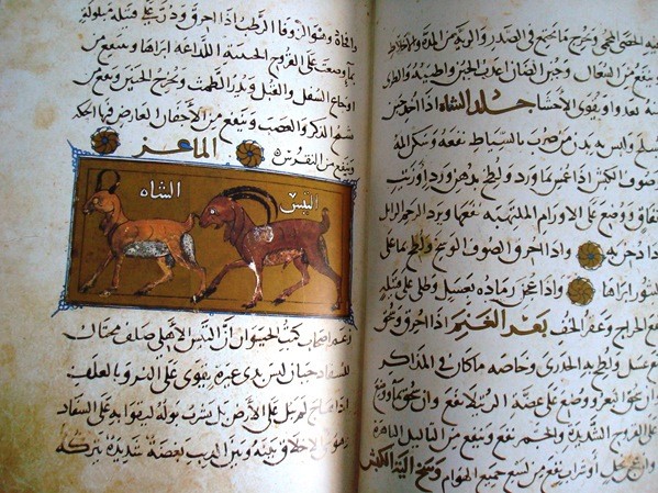 Libro de las utilidades de los animales, códice árabe, año 1354
