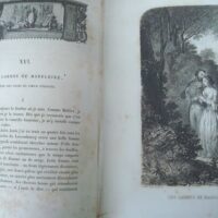 1851 Voyage à ma fenêtre, Arsène Houssaye, primera edición - Imagen 8