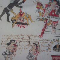 Tudela Codex or Codex Museum of America, s. XVI - Image 6