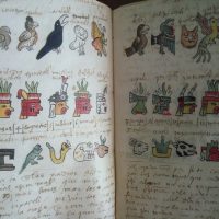 Tudela Codex or Codex Museum of America, s. XVI - Image 7
