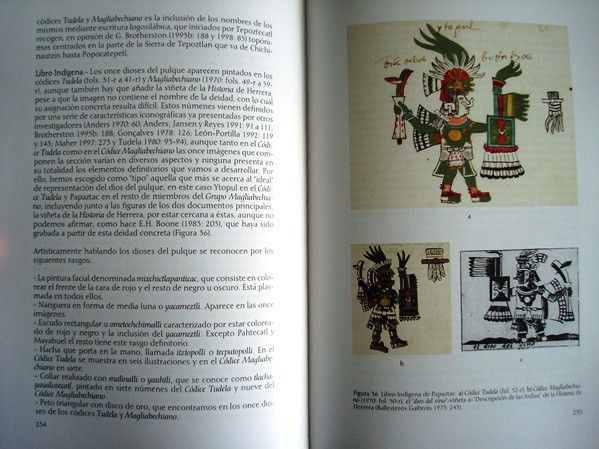 Libro estudio del Códice Tudela o Códice del Museo de América, s. XVI