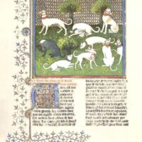 Book of the Hunt of Gaston III Fébus. BNF. 15th Century - Image 5