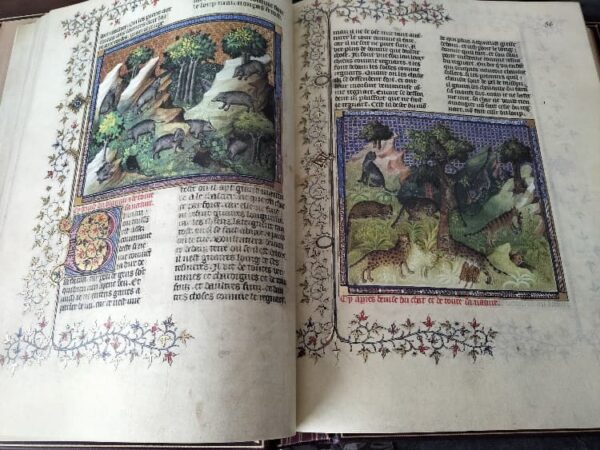Libro de la caza de Gaston III Fébus. BNF. Siglo XV - Imagen 3