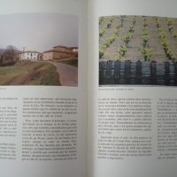 Los vinos de Navarra, by Jose Penin Santos - Image 3