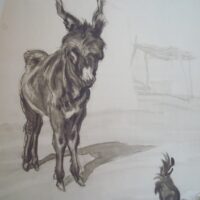 Platero y Yo, Juan Ramón Jiménez, ilustrado por Carlos Sáenz de Tejada, 1957 - Imagen 3