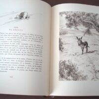 Platero y Yo, Juan Ramón Jiménez, ilustrado por Carlos Sáenz de Tejada, 1957 - Imagen 7