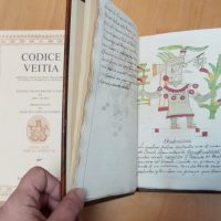 Codex Veitia, s. XVIII - Image 4