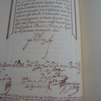 Privilege of Statute of Blood Nobility of the City of Málaga, s. XVII - Image 5