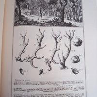 The Hunting in the Encyclopaedia of Diderot and D'Alembert - Image 3