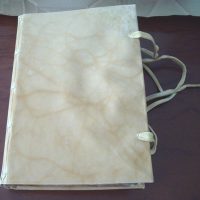 Voynich manuscript, s. XV (5*+)