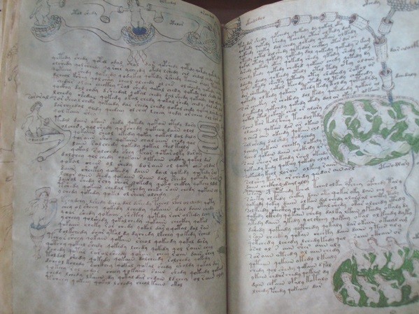 Voynich manuscript, s. XV (5*+)