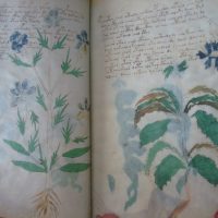 Voynich manuscript, s. XV (5*+)