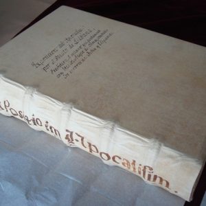 Colección completa Beatos de Liébana iluminados, siglos IX al XIII