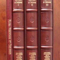 Flora Peruviana et Chilensis, ed. lujo, 1798-1802
