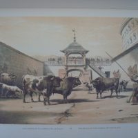 Bullfighting, the Bullfights of Spain, 1852, Lake Price - Image 5