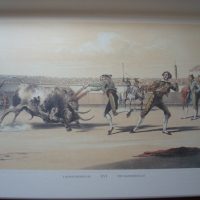 Bullfighting, the Bullfights of Spain, 1852, Lake Price - Image 8