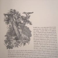 Don Quixote. Cervantes. 2007 Rueda, complete. Exclusive copy. bibliophilia - Image 11