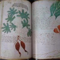 The Voynich Manuscript, the most mysterious book in the world - Image 5