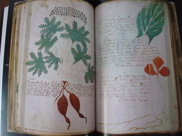El Manuscrito Voynich, el libro más misterioso del Mundo