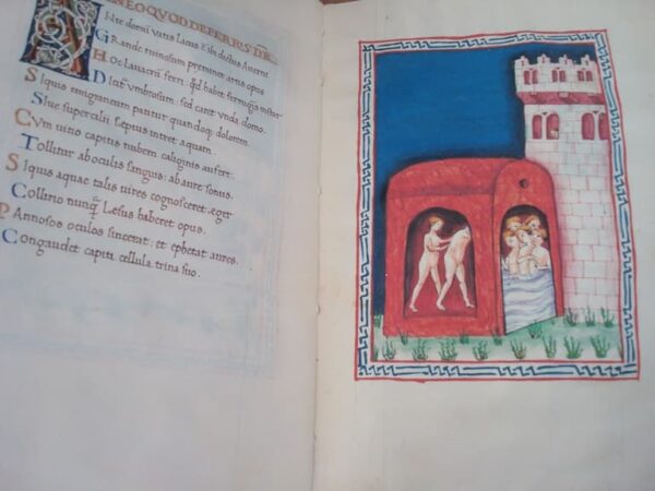 De Balneis Puteoli, c. 1455 - Image 6