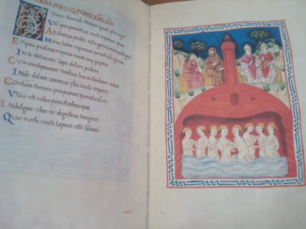 De Balneis Puteoli, c. 1455 - Image 7