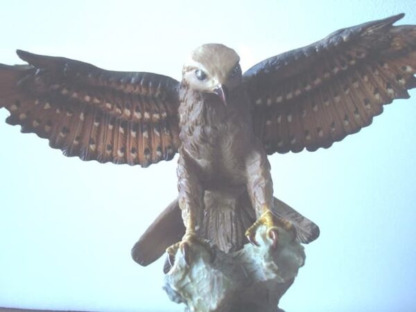 Eagle figure displayed with wooden base - Image 5