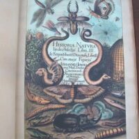 Historiae Naturalis de Insectis, by Johannes Jonstonus, 1653 (5 *)