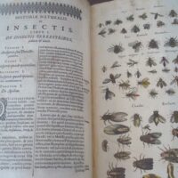 Historiae Naturalis de Insectis, by Johannes Jonstonus, 1653 (5 *) - Image 2