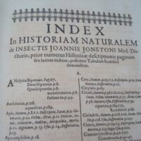 Historiae Naturalis de Insectis, by Johannes Jonstonus, 1653 (5 *) - Image 7