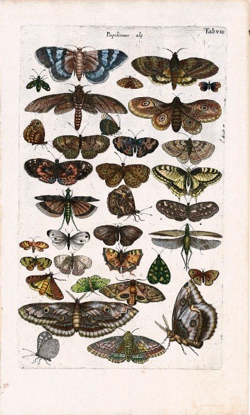 Historia Naturalis, de Johannes Jonstonus, s. XVII