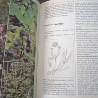 El gran libro de las plantas medicinales. M Pahlow. 1991 - Imagen 6