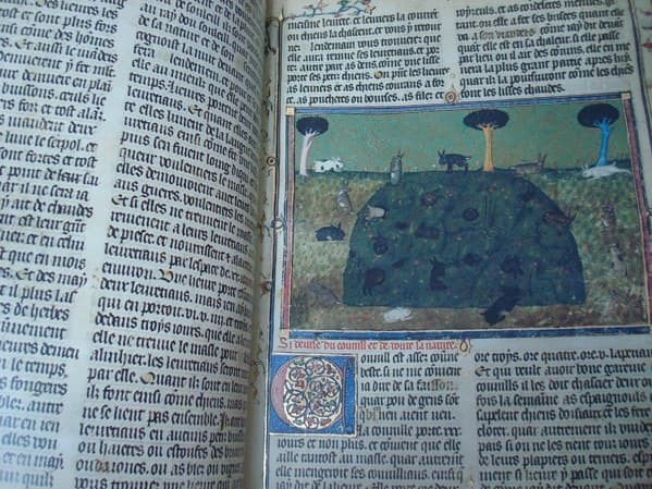 Libro de la caza de Gastón III Fébus, s. XIV (Museo del Ermitage)