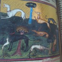Book of the hunting of Gastón III Fébus, s. XIV (Museum of the Hermitage) - Image 5