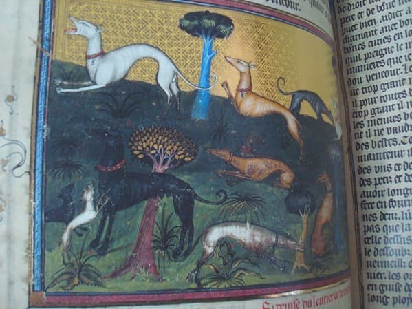 Book of the hunting of Gastón III Fébus, s. XIV (Museum of the Hermitage) - Image 5