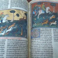 Book of the hunting of Gastón III Fébus, s. XIV (Museum of the Hermitage) - Image 6