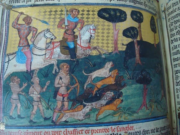 Book of the hunting of Gastón III Fébus, s. XIV (Museum of the Hermitage) - Image 7