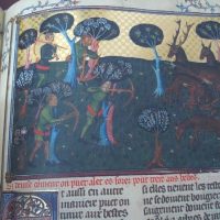 Book of the hunting of Gastón III Fébus, s. XIV (Museum of the Hermitage) - Image 8
