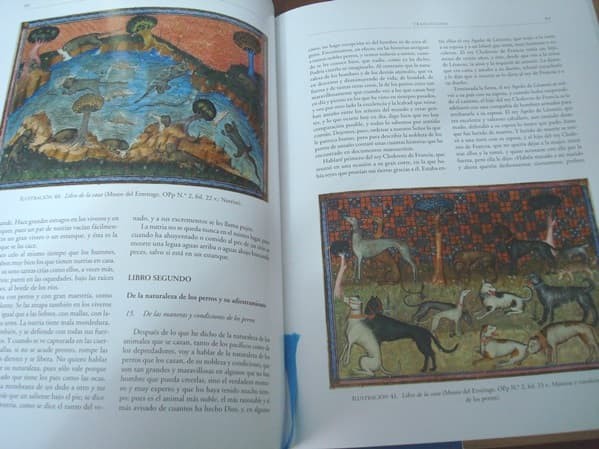 Book of the hunting of Gastón III Fébus, s. XIV (Museum of the Hermitage) - Image 11